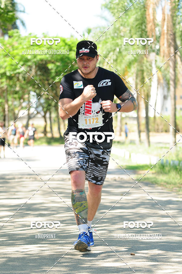 Buy your photos of the eventPIT BULL RUNNING on Fotop