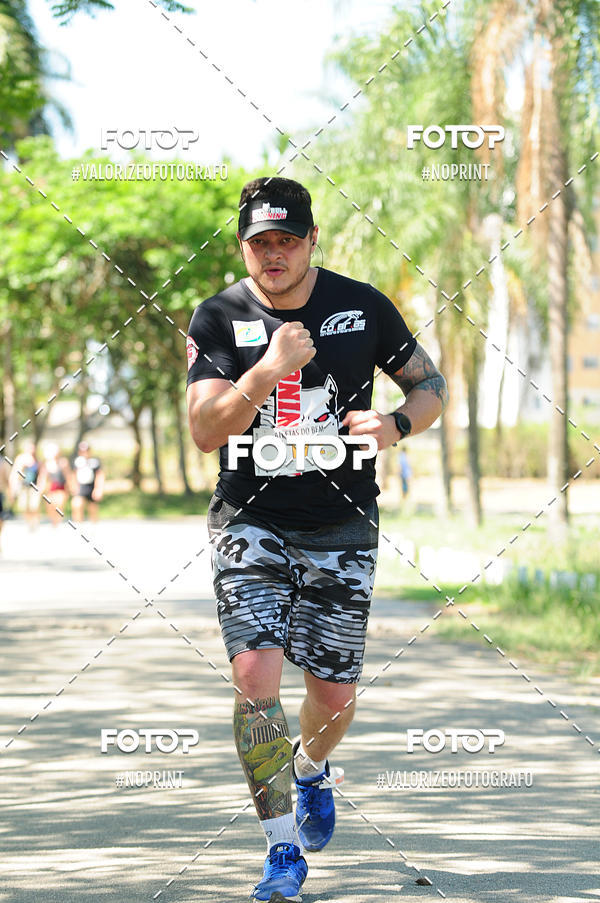 Buy your photos of the eventPIT BULL RUNNING on Fotop