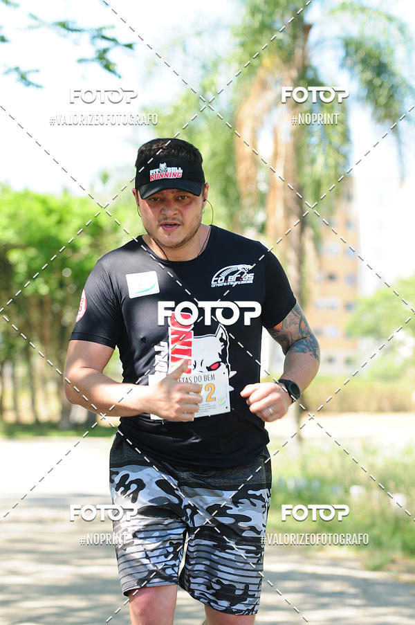 Buy your photos of the eventPIT BULL RUNNING on Fotop