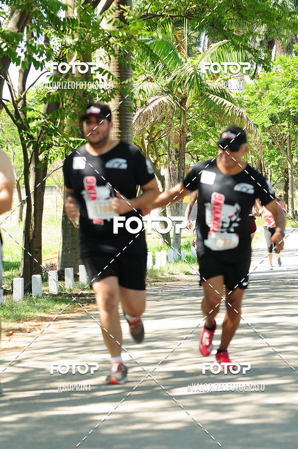 Buy your photos of the eventPIT BULL RUNNING on Fotop