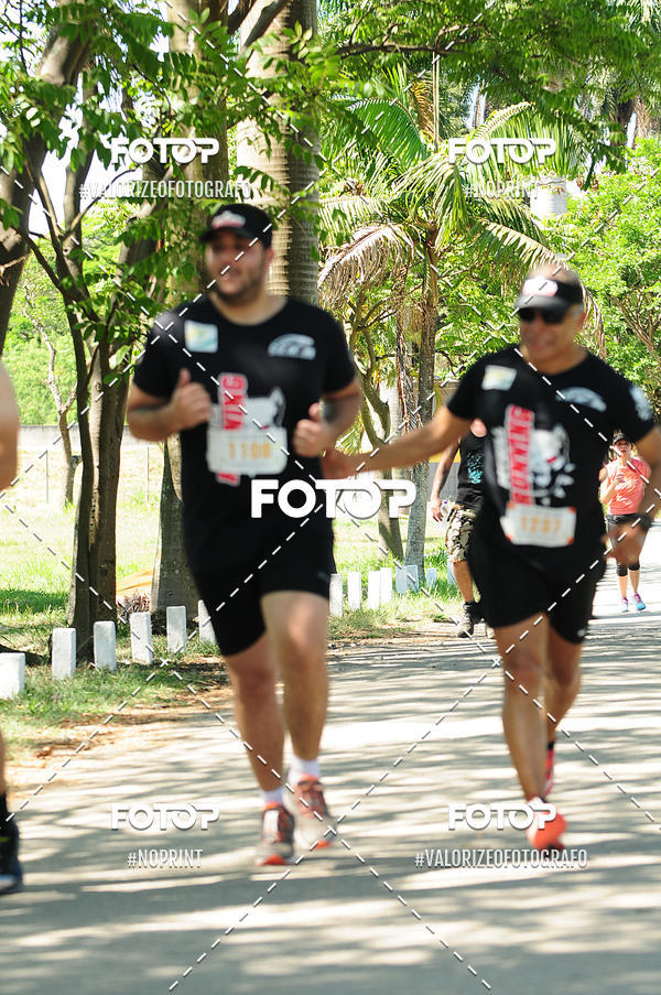 Buy your photos of the eventPIT BULL RUNNING on Fotop