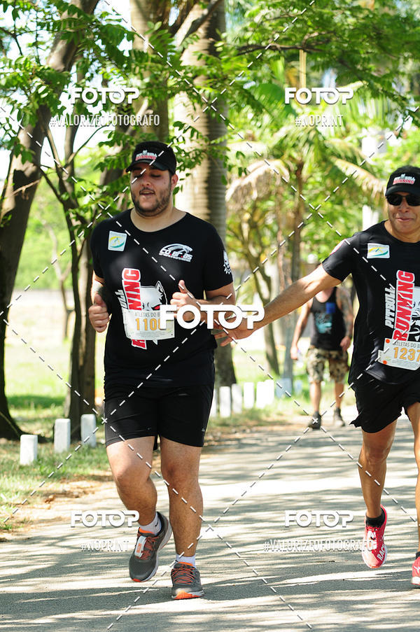 Buy your photos of the eventPIT BULL RUNNING on Fotop