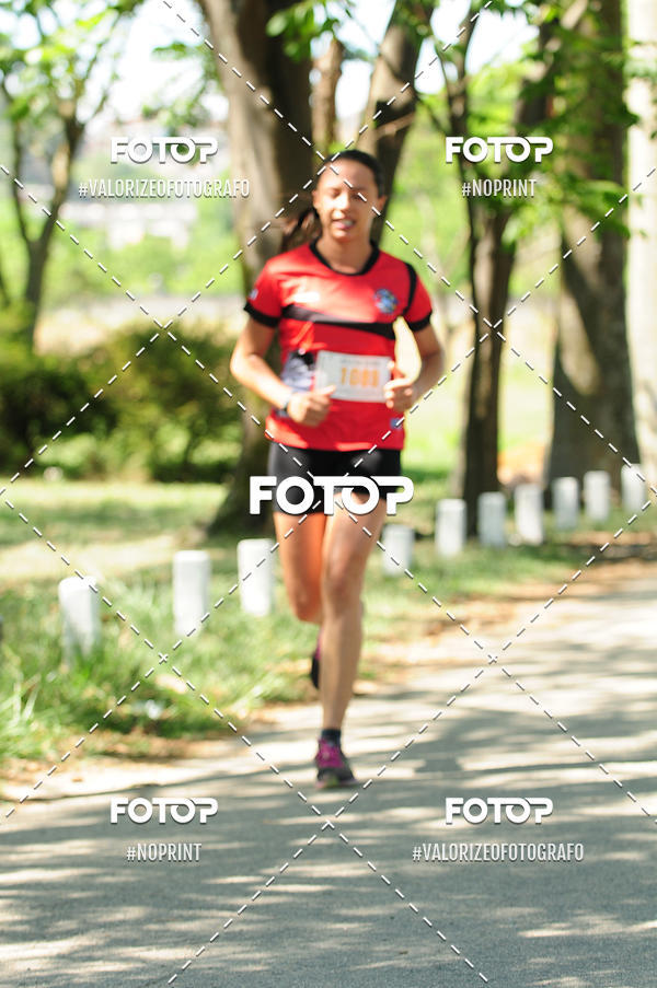 Buy your photos of the eventPIT BULL RUNNING on Fotop