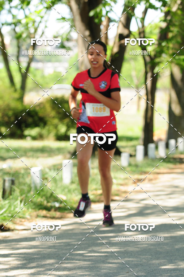 Buy your photos of the eventPIT BULL RUNNING on Fotop