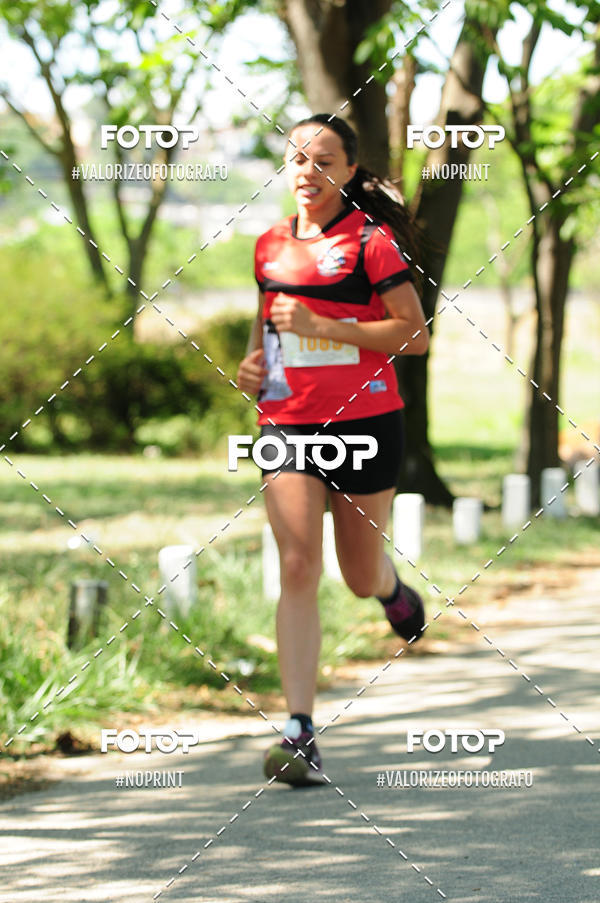 Buy your photos of the eventPIT BULL RUNNING on Fotop