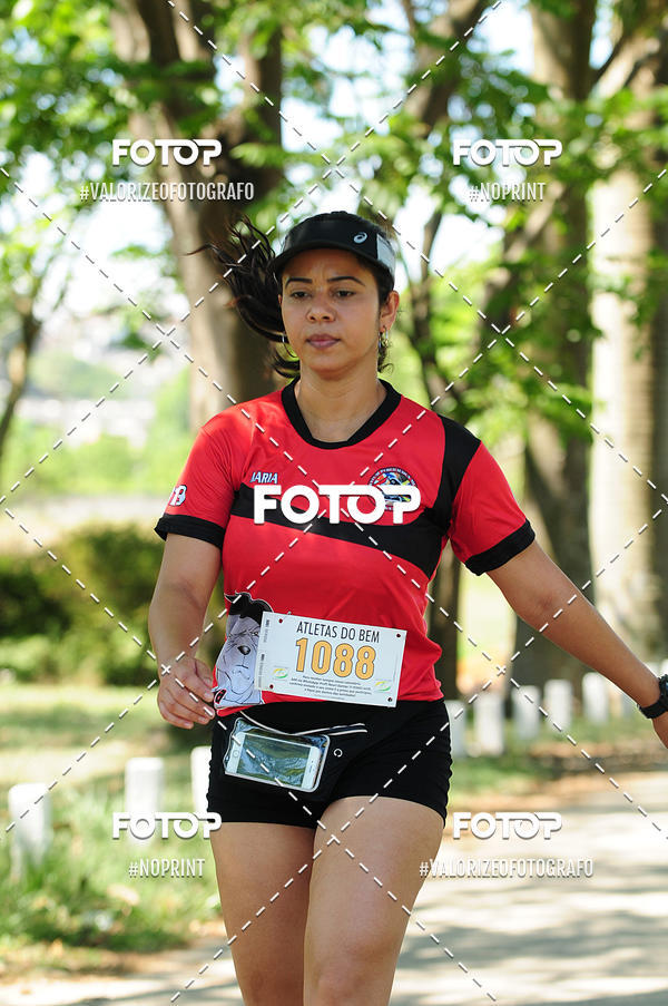 Buy your photos of the eventPIT BULL RUNNING on Fotop