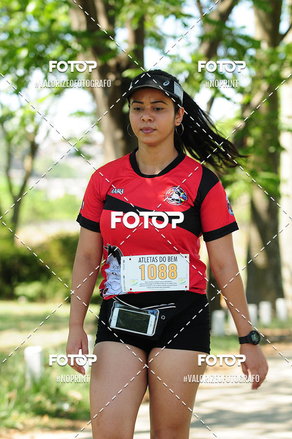 Buy your photos of the eventPIT BULL RUNNING on Fotop