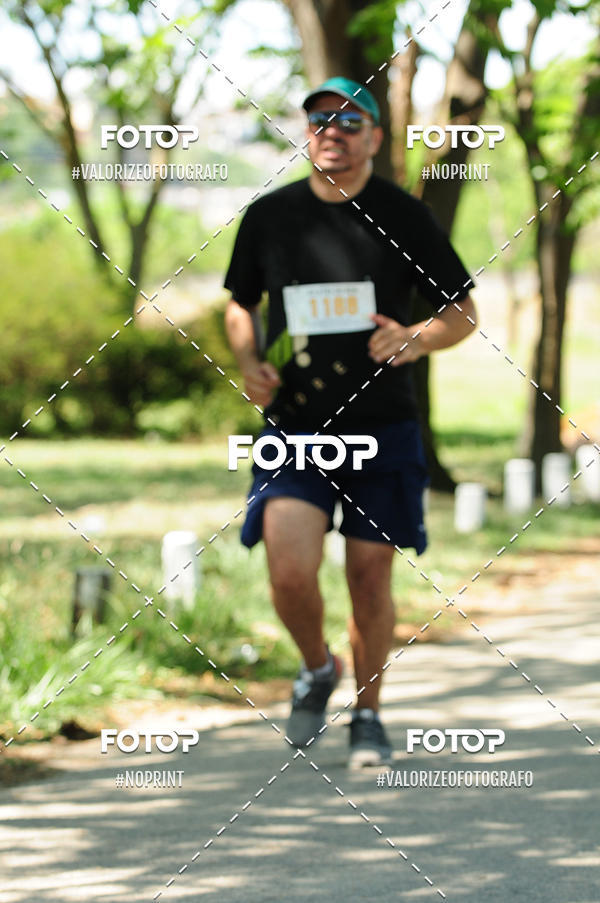 Buy your photos of the eventPIT BULL RUNNING on Fotop