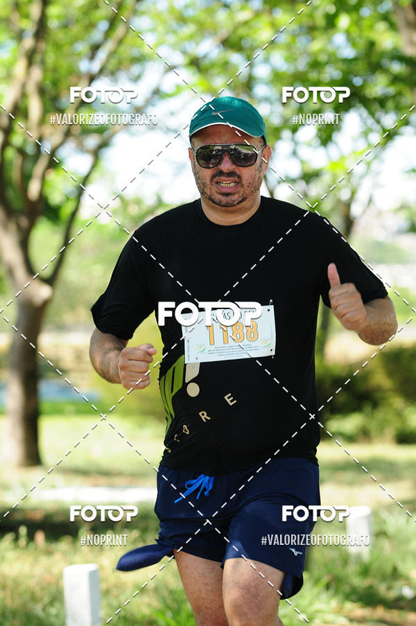 Buy your photos of the eventPIT BULL RUNNING on Fotop