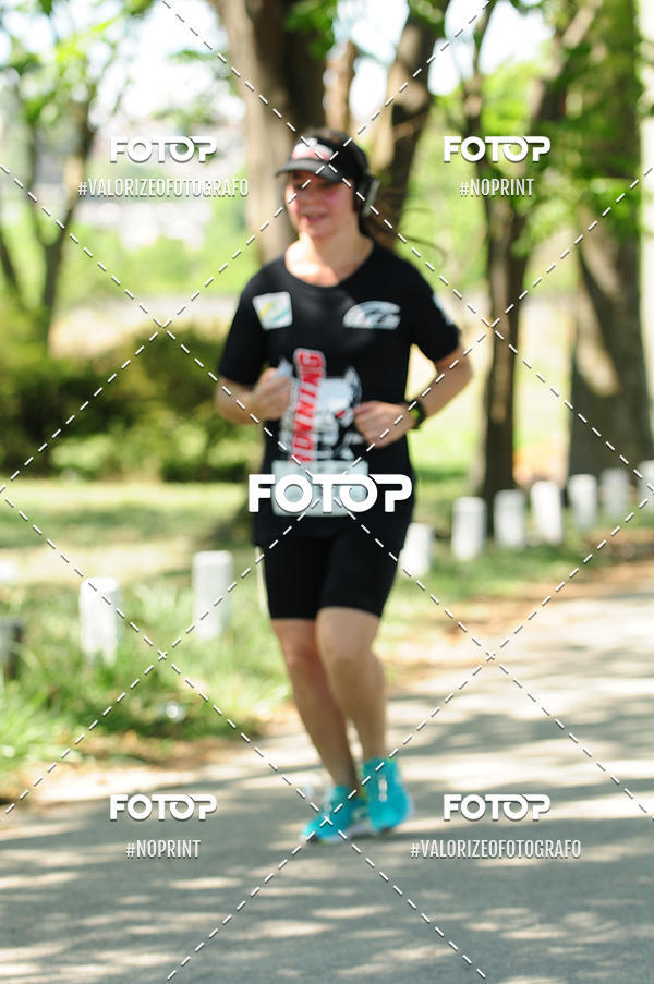 Buy your photos of the eventPIT BULL RUNNING on Fotop