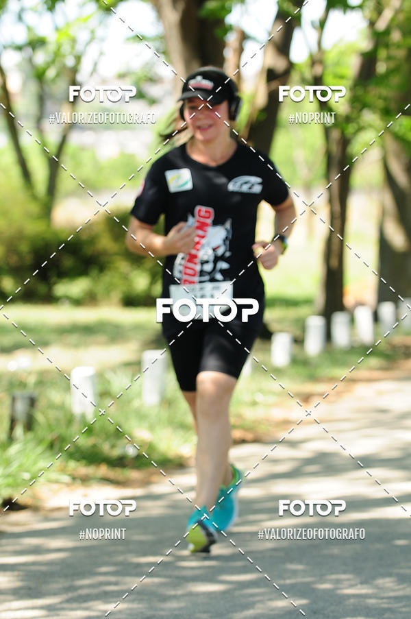 Buy your photos of the eventPIT BULL RUNNING on Fotop