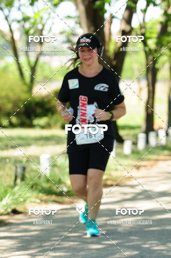 Buy your photos of the eventPIT BULL RUNNING on Fotop