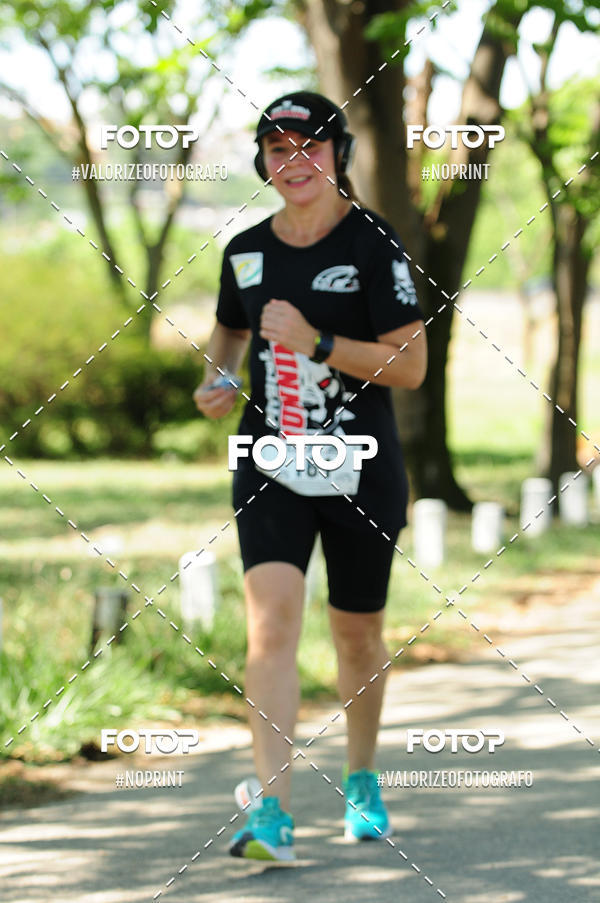 Buy your photos of the eventPIT BULL RUNNING on Fotop