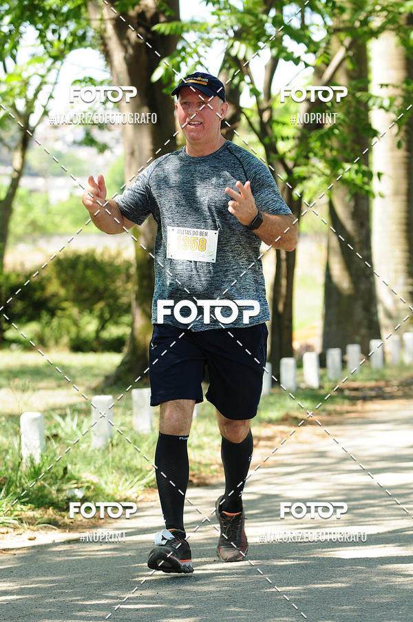 Buy your photos of the eventPIT BULL RUNNING on Fotop