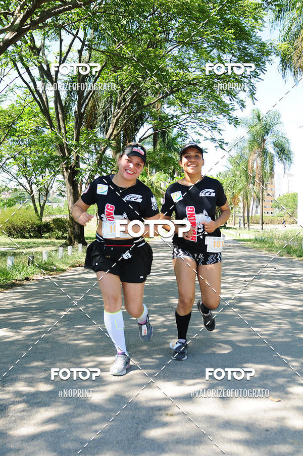 Buy your photos of the eventPIT BULL RUNNING on Fotop