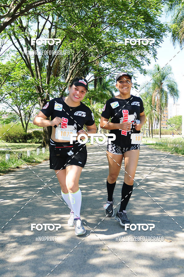 Buy your photos of the eventPIT BULL RUNNING on Fotop