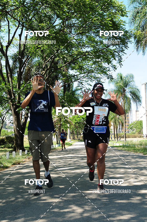 Buy your photos of the eventPIT BULL RUNNING on Fotop