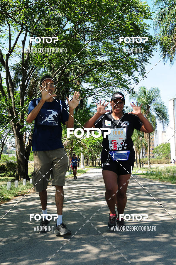 Buy your photos of the eventPIT BULL RUNNING on Fotop