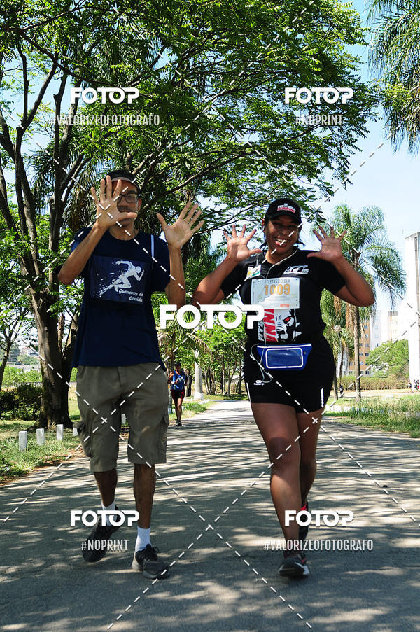 Buy your photos of the eventPIT BULL RUNNING on Fotop