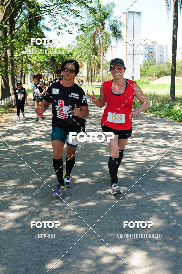 Buy your photos of the eventPIT BULL RUNNING on Fotop