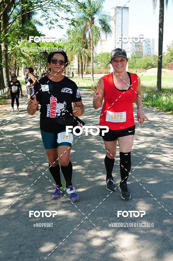 Buy your photos of the eventPIT BULL RUNNING on Fotop