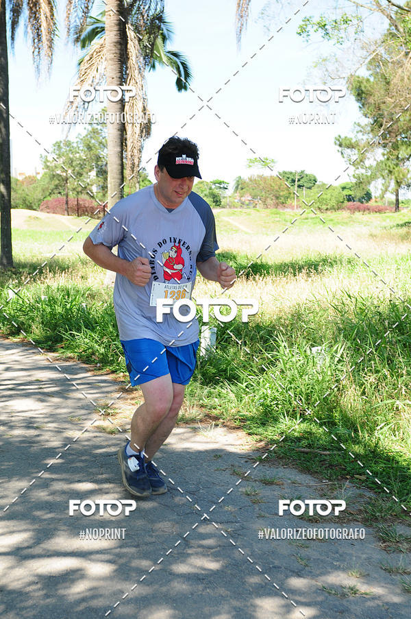 Buy your photos of the eventPIT BULL RUNNING on Fotop