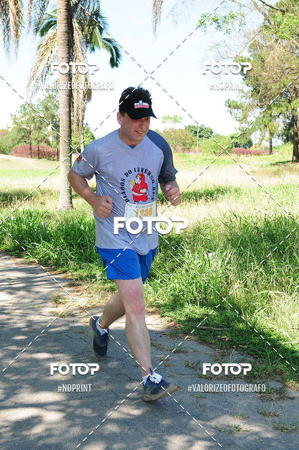 Buy your photos of the eventPIT BULL RUNNING on Fotop