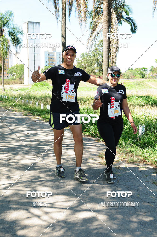 Buy your photos of the eventPIT BULL RUNNING on Fotop