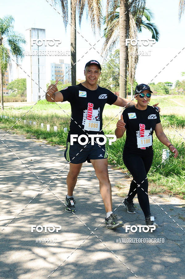 Buy your photos of the eventPIT BULL RUNNING on Fotop