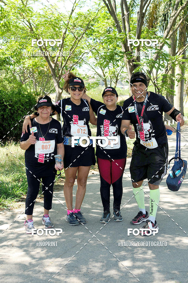 Buy your photos of the eventPIT BULL RUNNING on Fotop