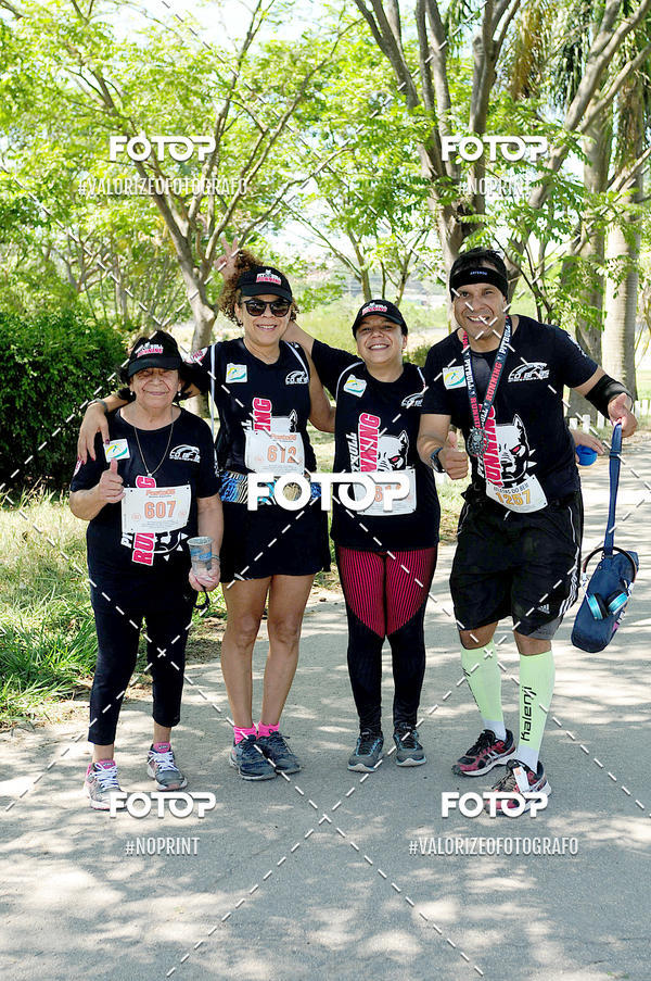 Buy your photos of the eventPIT BULL RUNNING on Fotop