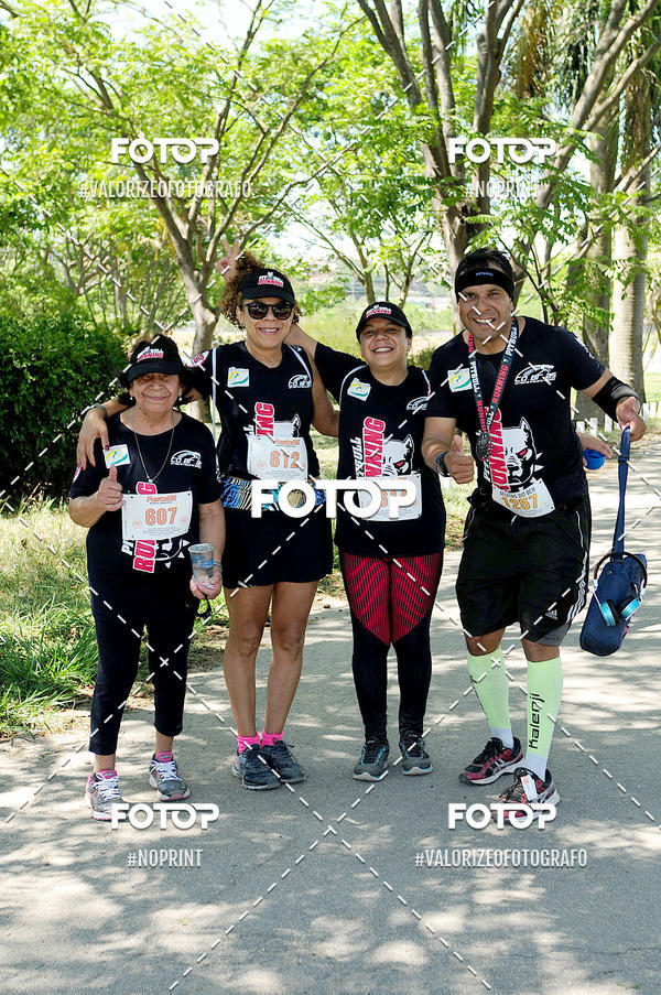 Buy your photos of the eventPIT BULL RUNNING on Fotop