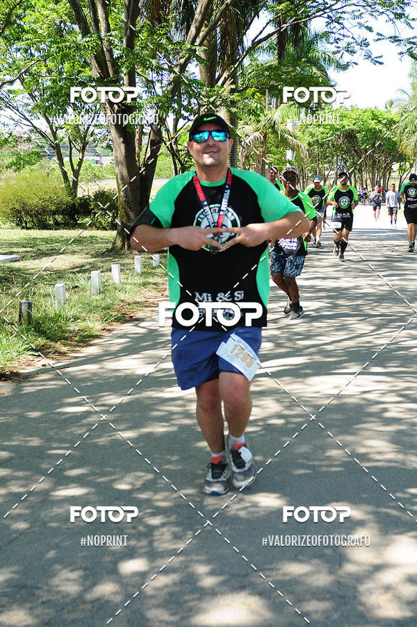 Buy your photos of the eventPIT BULL RUNNING on Fotop