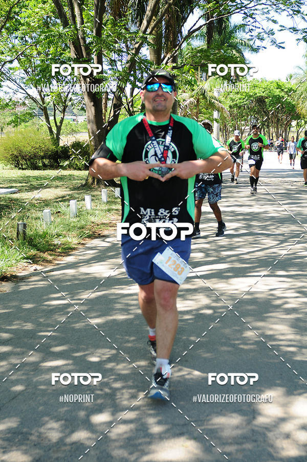 Buy your photos of the eventPIT BULL RUNNING on Fotop