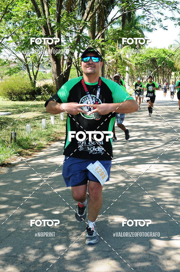 Buy your photos of the eventPIT BULL RUNNING on Fotop