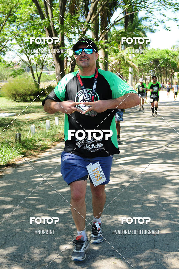 Buy your photos of the eventPIT BULL RUNNING on Fotop