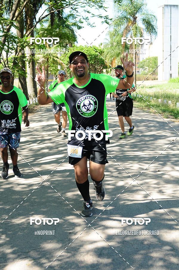Buy your photos of the eventPIT BULL RUNNING on Fotop