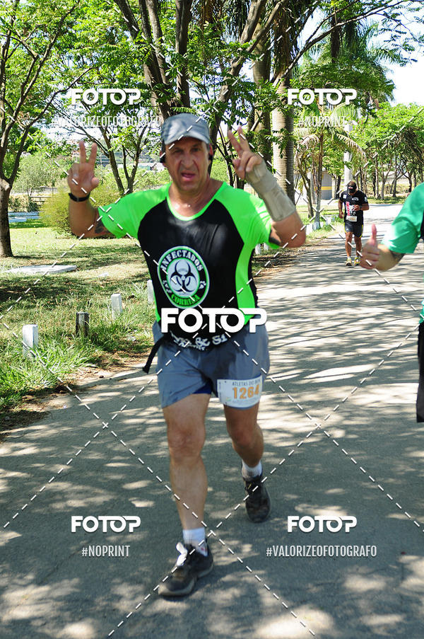Buy your photos of the eventPIT BULL RUNNING on Fotop