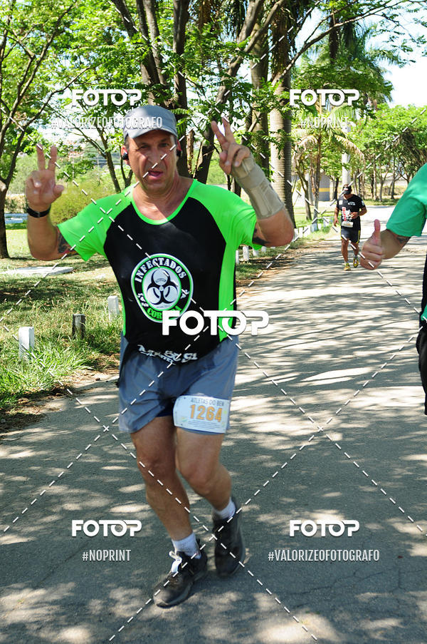 Buy your photos of the eventPIT BULL RUNNING on Fotop