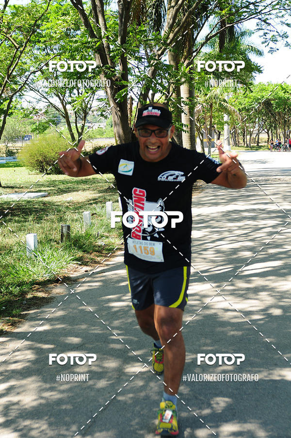 Buy your photos of the eventPIT BULL RUNNING on Fotop