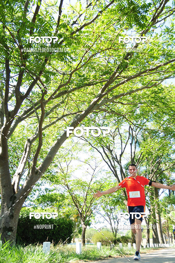 Buy your photos of the eventPIT BULL RUNNING on Fotop