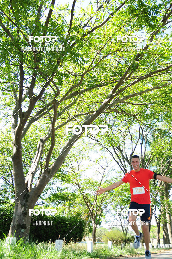 Buy your photos of the eventPIT BULL RUNNING on Fotop