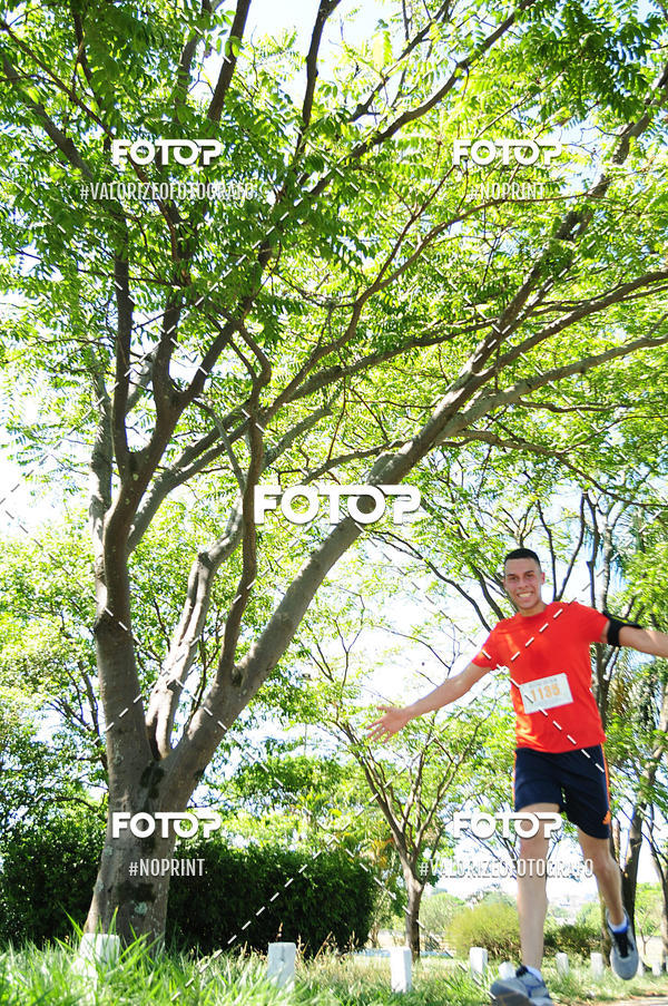 Buy your photos of the eventPIT BULL RUNNING on Fotop