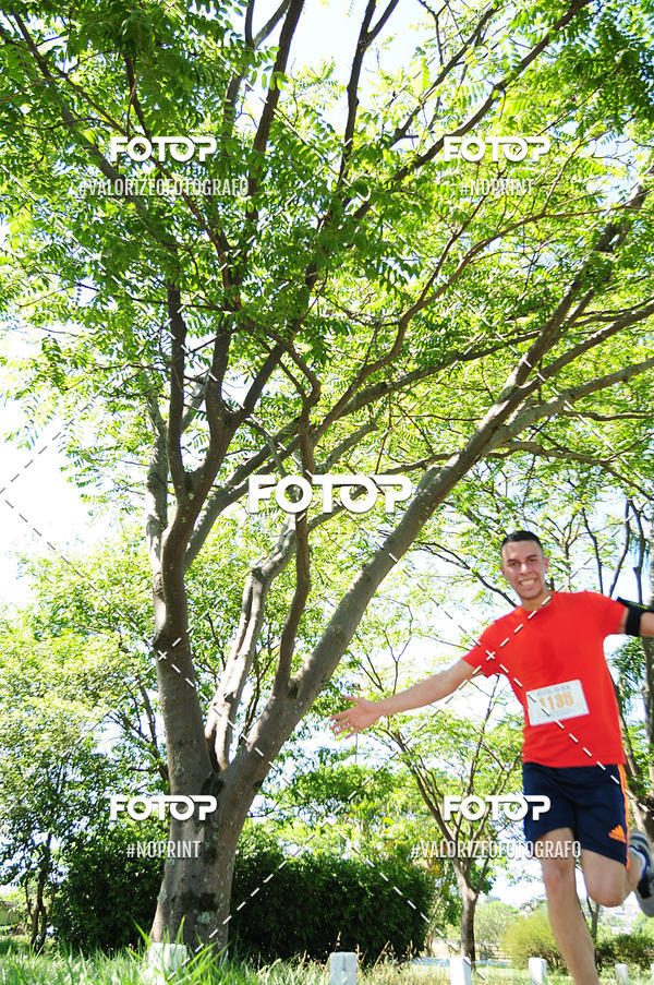 Buy your photos of the eventPIT BULL RUNNING on Fotop