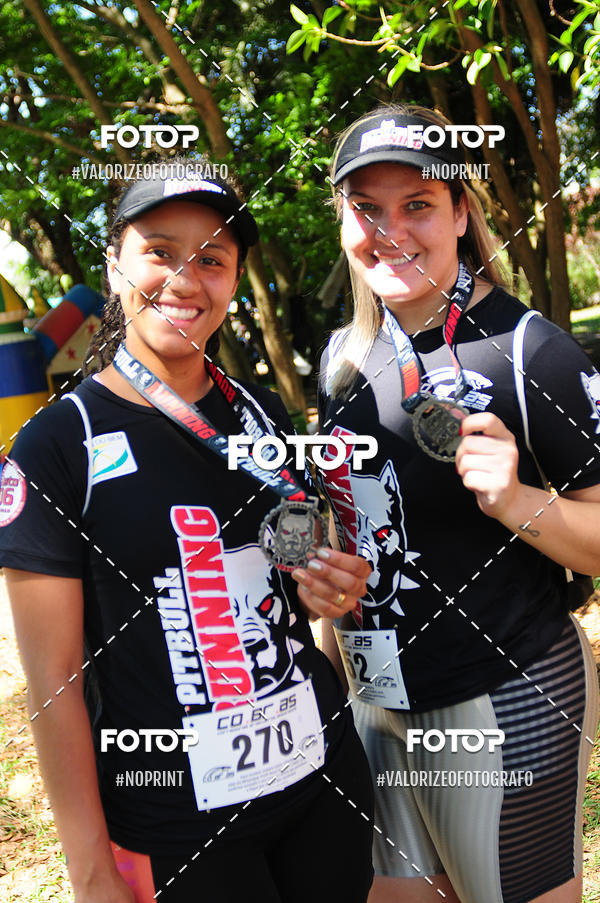 Buy your photos of the eventPIT BULL RUNNING on Fotop