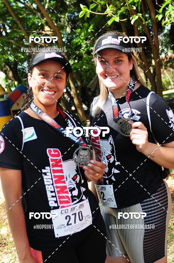 Buy your photos of the eventPIT BULL RUNNING on Fotop