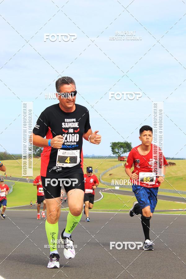 Buy your photos of the eventGalera do Pace VeloCitt Run II Ed. on Fotop