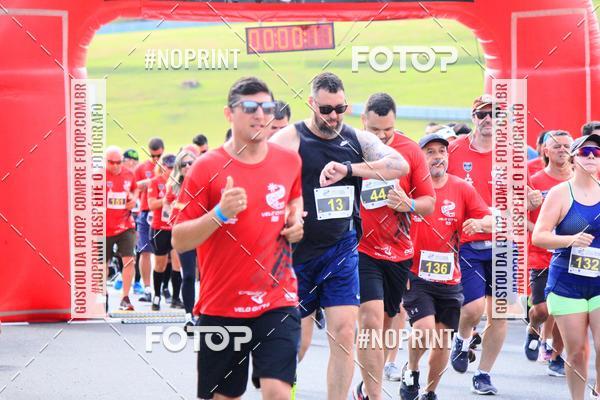 Buy your photos of the eventGalera do Pace VeloCitt Run II Ed. on Fotop