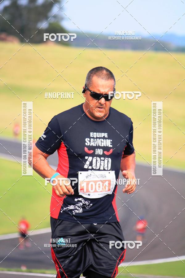 Buy your photos of the eventGalera do Pace VeloCitt Run II Ed. on Fotop