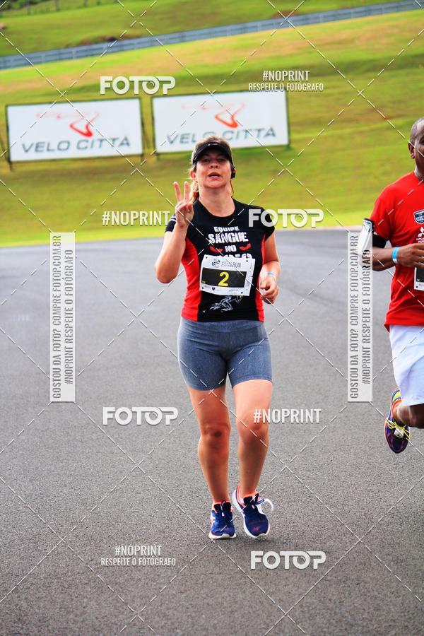 Buy your photos of the eventGalera do Pace VeloCitt Run II Ed. on Fotop